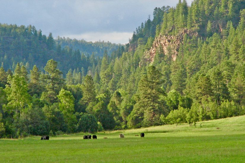 Banderitas Creek Ranch