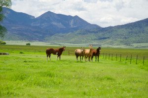 buying a colorado ranch