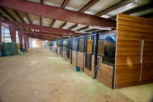 cold weather animal care tips for a ranch