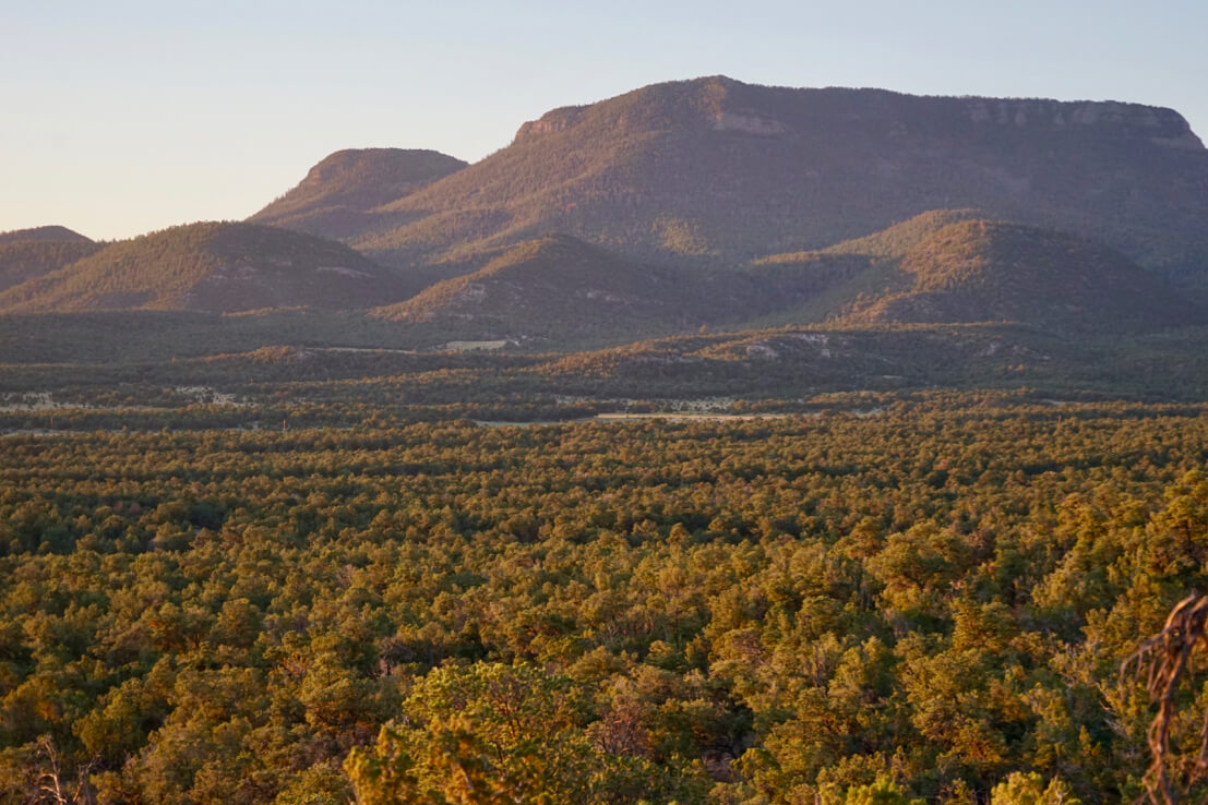 Stunning Luxury Ranches for Sale in Wyoming and New Mexico