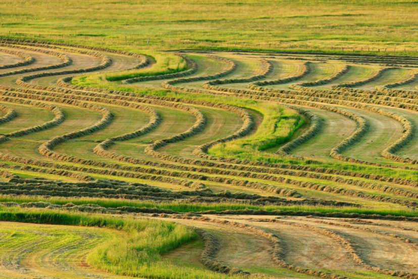 Colorado Ranch Water Rights: A Buyer’s Due Diligence Checklist
