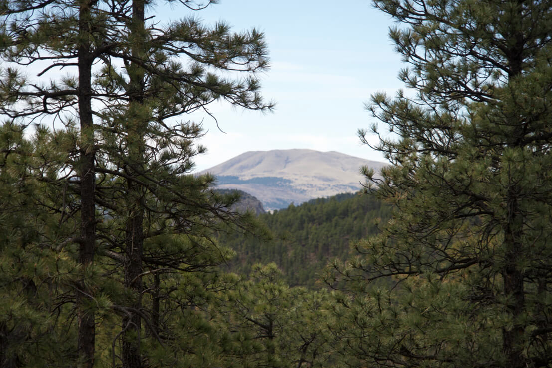 Year-Round River Ranch for Sale near Angel Fire NM – Price Reduced