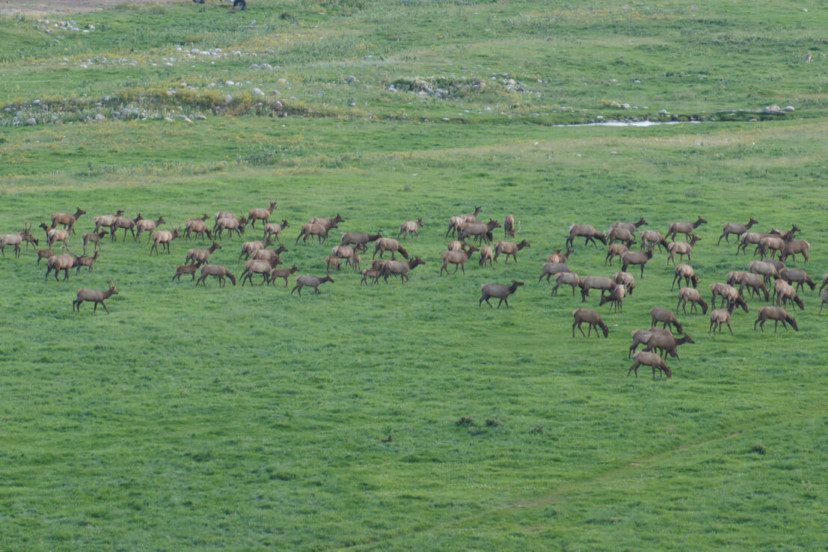 Hunt and Fish Often on Exalted Public Wyoming Land