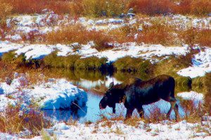 Wyoming Land