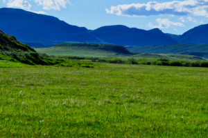 Wyoming Ranch