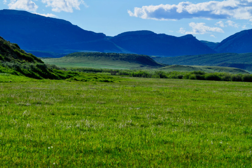 Consider an All-Around Wyoming Ranch for Hunting, Fishing, Cattle and Horses