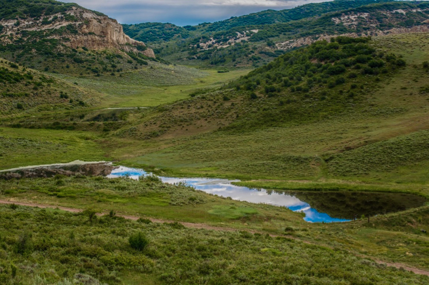 Introduction to Colorado Hunting: Small Game and Waterfowl