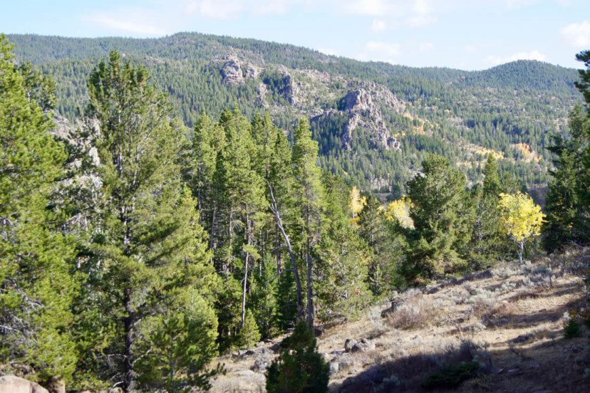 Wyoming Trophy Elk Hunting Ranch for Sale adjoining National Forest