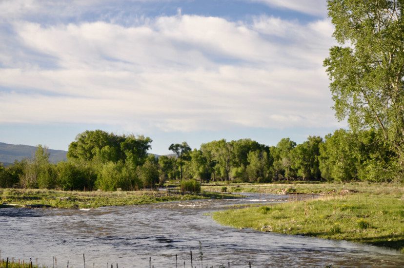 Know Your Top Fly-Fishing Rivers near North NM Ranches