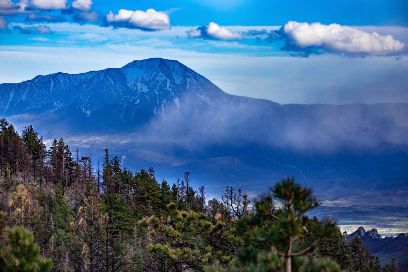 Rocky Mountain Ranches for Sale: On the Lookout for Bears