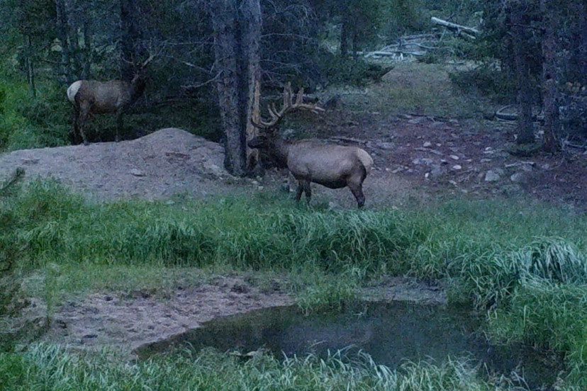 Private Elk Hunting Ranches for Sale in Wyoming, Some with Fly Fishing/Cattle