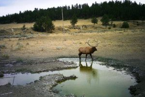 Colorado Water Rights