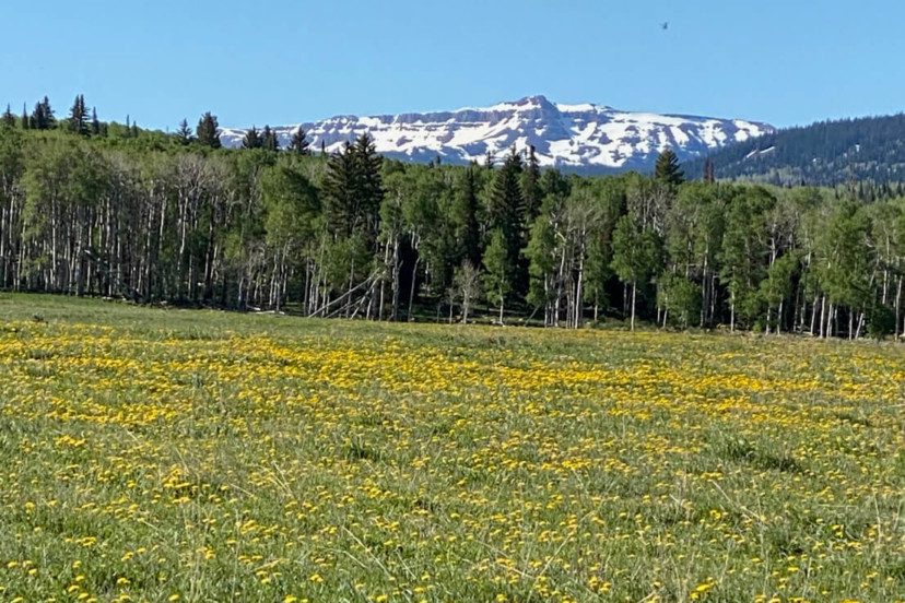 What is the Difference Between a Farm and a Ranch?