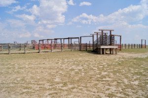 best fence for cattle