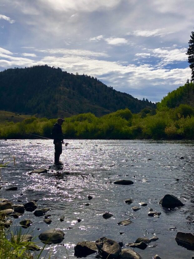 How to Hook Whitefish in Montana Trout Waters