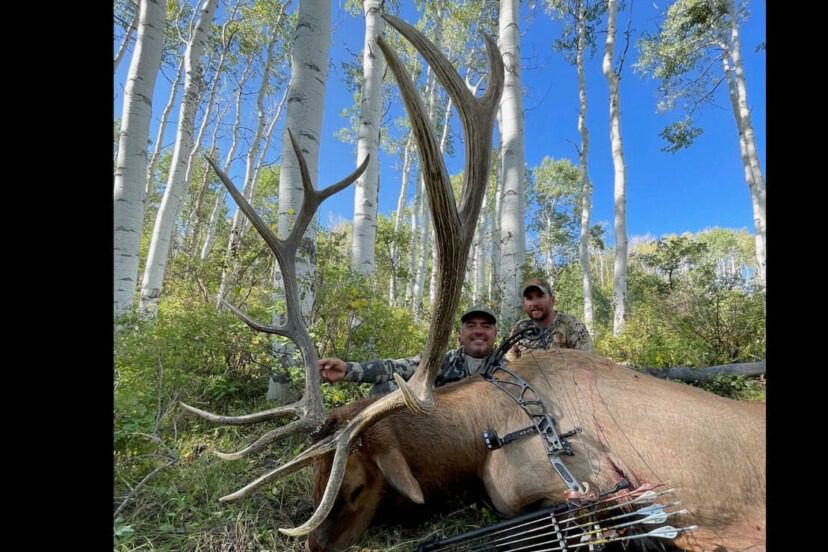Tips To Help You Have A Successful Early Elk Season