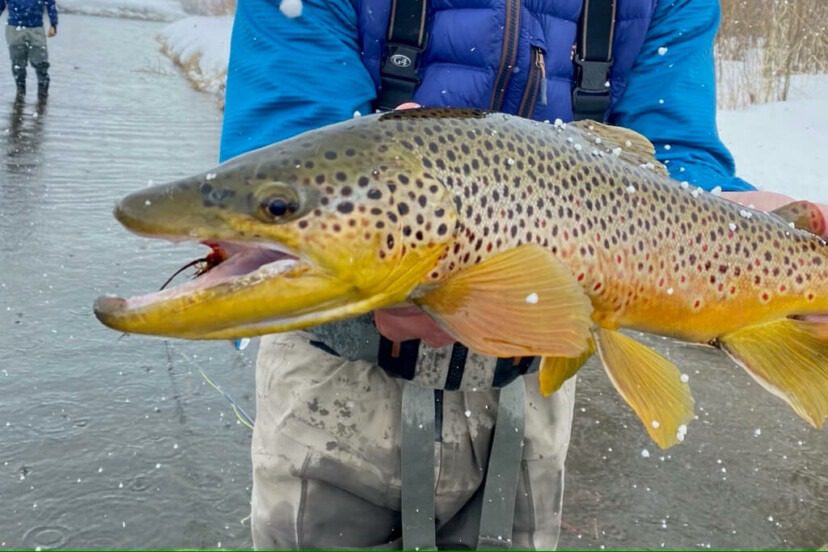 Yampa River Ranch