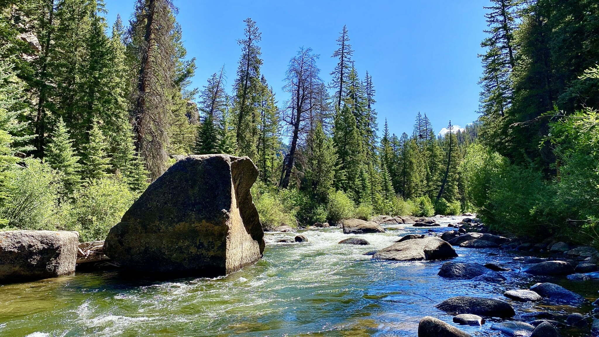 Montana Ranches for Sale Premier Montana Ranch Real Estate Harrigan