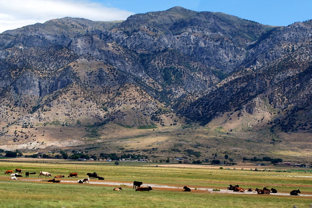 Utah Cattle Ranches For Sale Utah Cattle Ranches for Sale Ranches for
