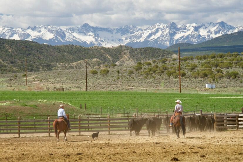 Mountain Ranches – Income Producing Investments