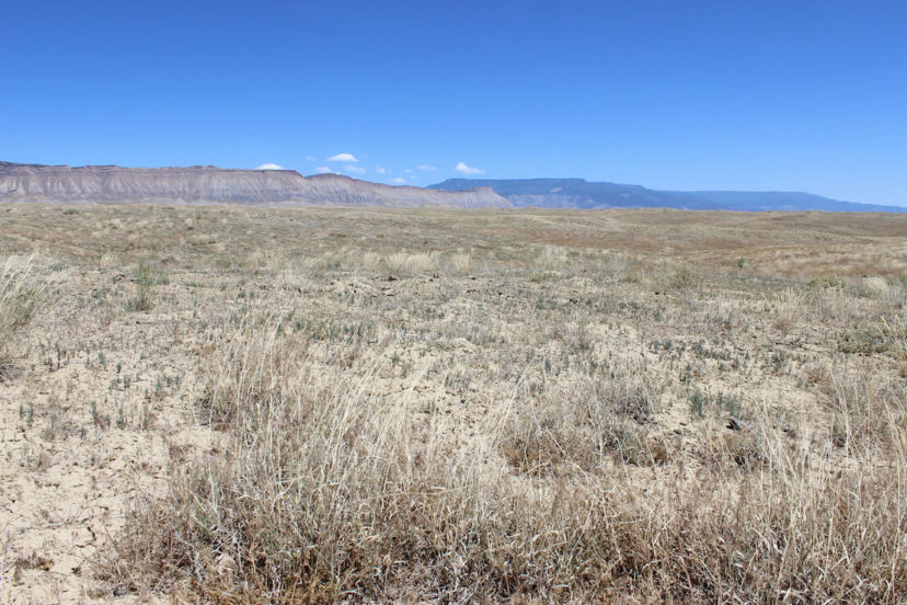 Spanish Forks Grazing Permits