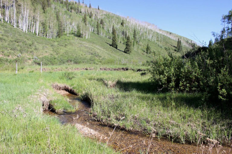 Spanish Forks Grazing Permits