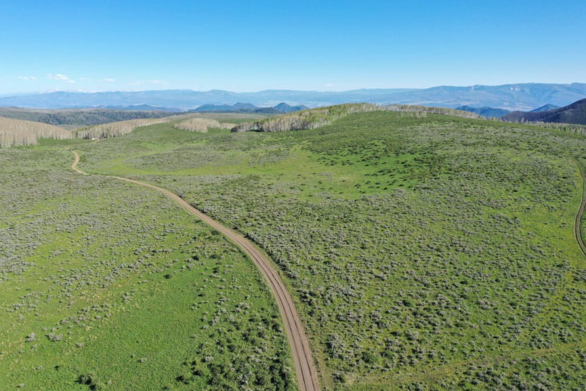 Spanish Forks Grazing Permits