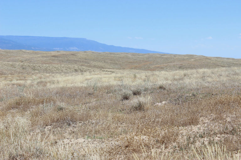 Spanish Forks Grazing Permits