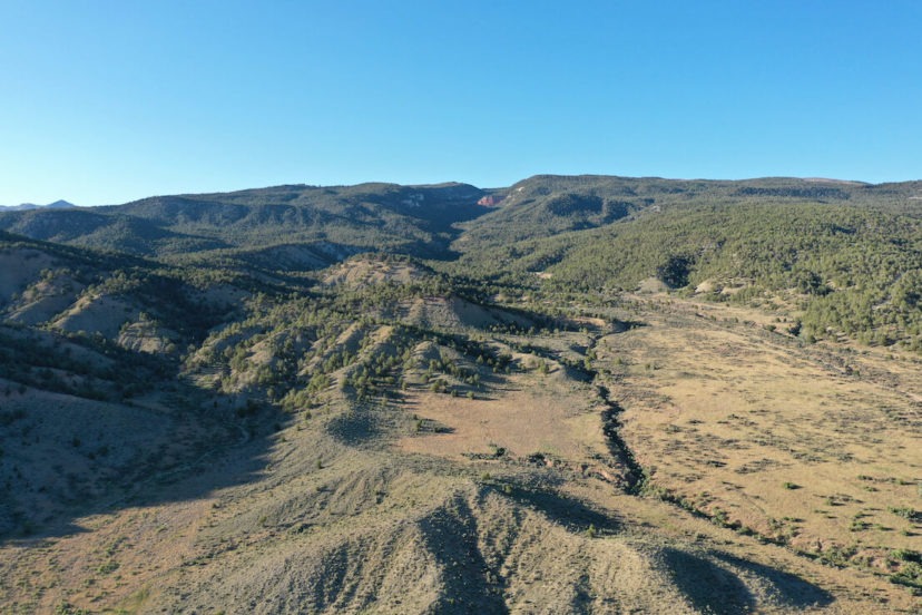 Spanish Forks Grazing Permits