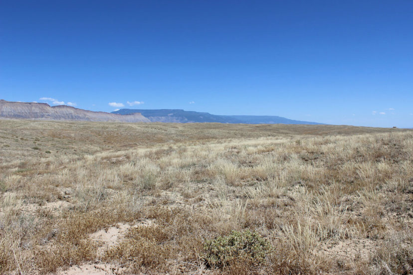 Spanish Forks Grazing Permits