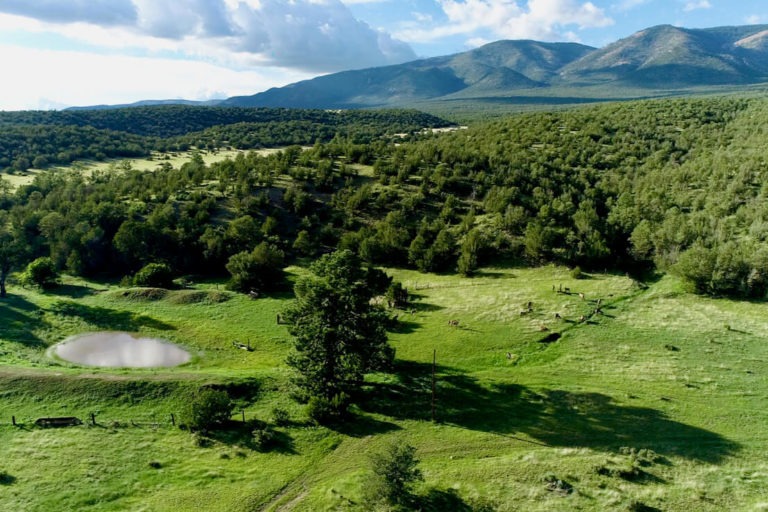 Ponderosa Springs Ranch