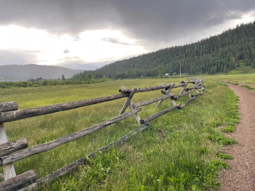 Wildlife-friendly fencing: protecting your property and the environment