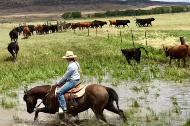 Haystack River Ranch