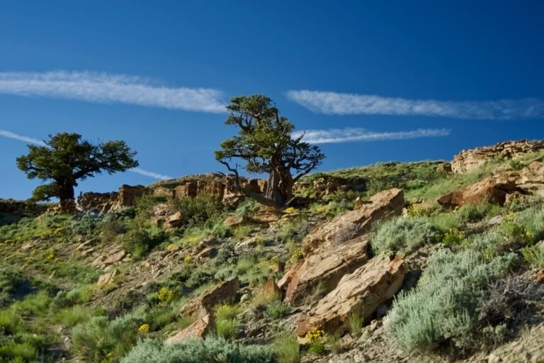 Haystack River Ranch