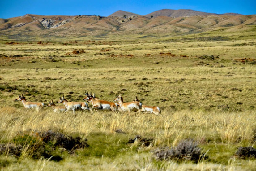 Haystack River Ranch