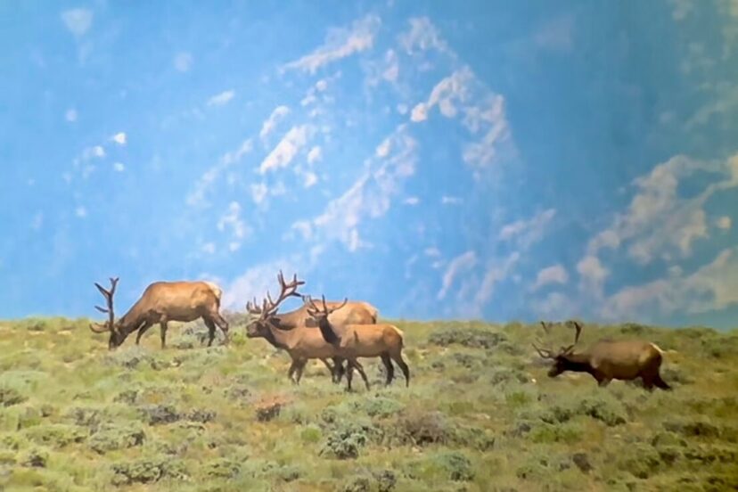 Haystack River Ranch