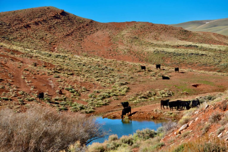 Haystack River Ranch