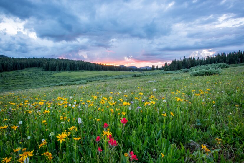 Spring is a great time to sell ranch property