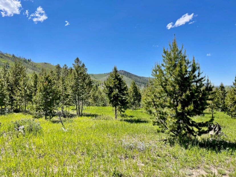 Independence Mountain Ranch