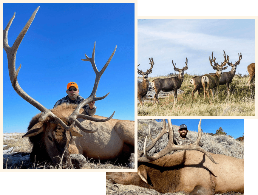 Colorado-ranch-for-sale-big-game-hunting