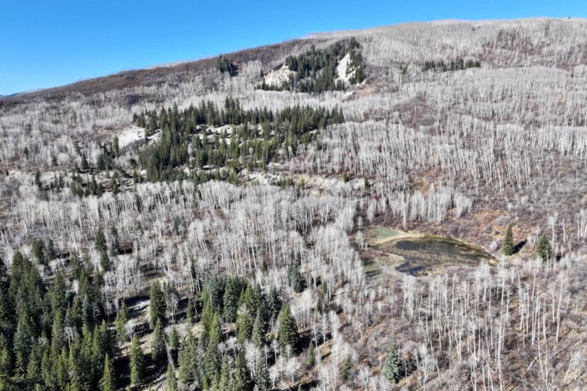 Bearslide Ranch