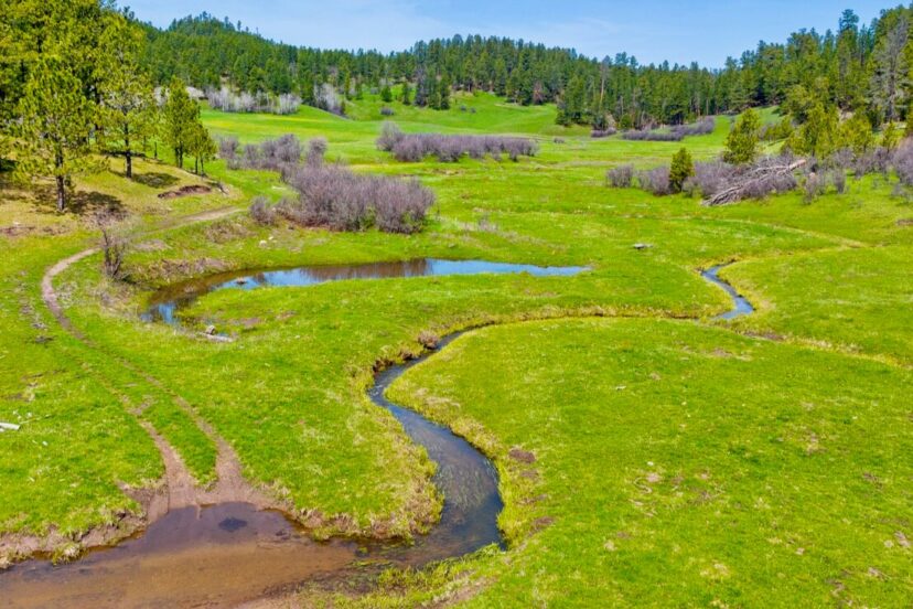 How to build healthy trout habitat to improve winter survival