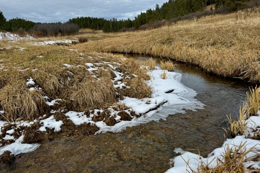 Winter is busy on the ranch for both work and play