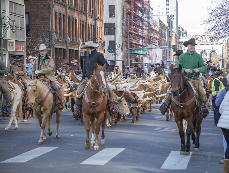 National Western Stock Show attendance illustrates interest in ranch life