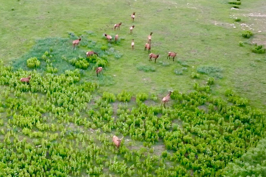 Ranches for Sale in Colorado, Wyoming, New Mexico & Utah
