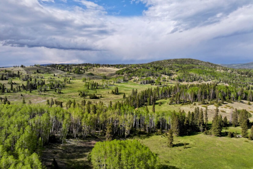 High Country Ranch