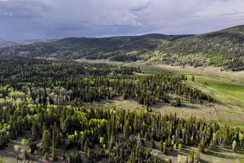 High Country Ranch - Harrigan Land Company