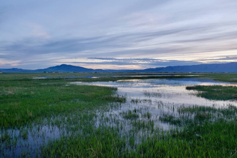 Fisher Ranch