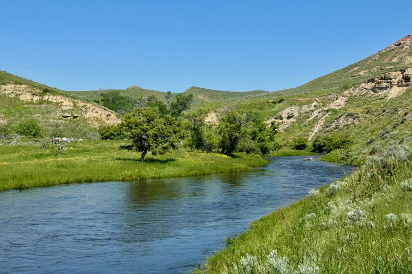 Cross F Ranch
