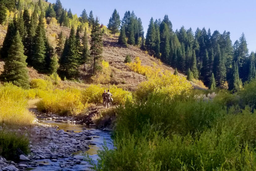 S&L Ranch